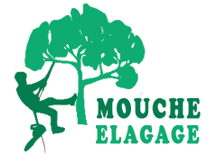 elagage-mouche-elagage